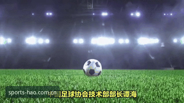 中国足协第三批禁足名单解读指南：如何在浩瀚体育平台追踪足球反腐动态